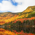 Autumn Reflections on Beaver Pond New Hampshire