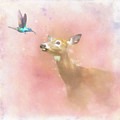 Deer And The Hummingbird Watercolor