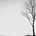 High Key Lone Tree