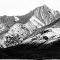 Matanuska Peak And Glacier Black And White