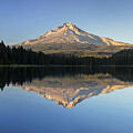 Mount Hood Reflection Trillium Lake Panorama