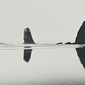 Serene Coast Cannon Beach Monochrome