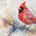 Virginia State Map And Cardinal Bird